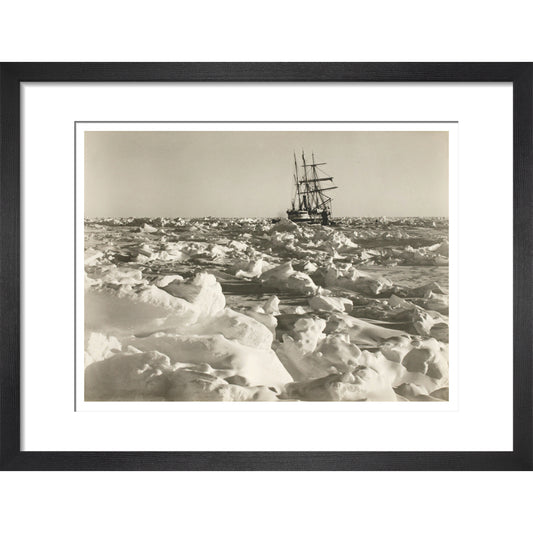 'Endurance' fast in the sea of ice - Art print