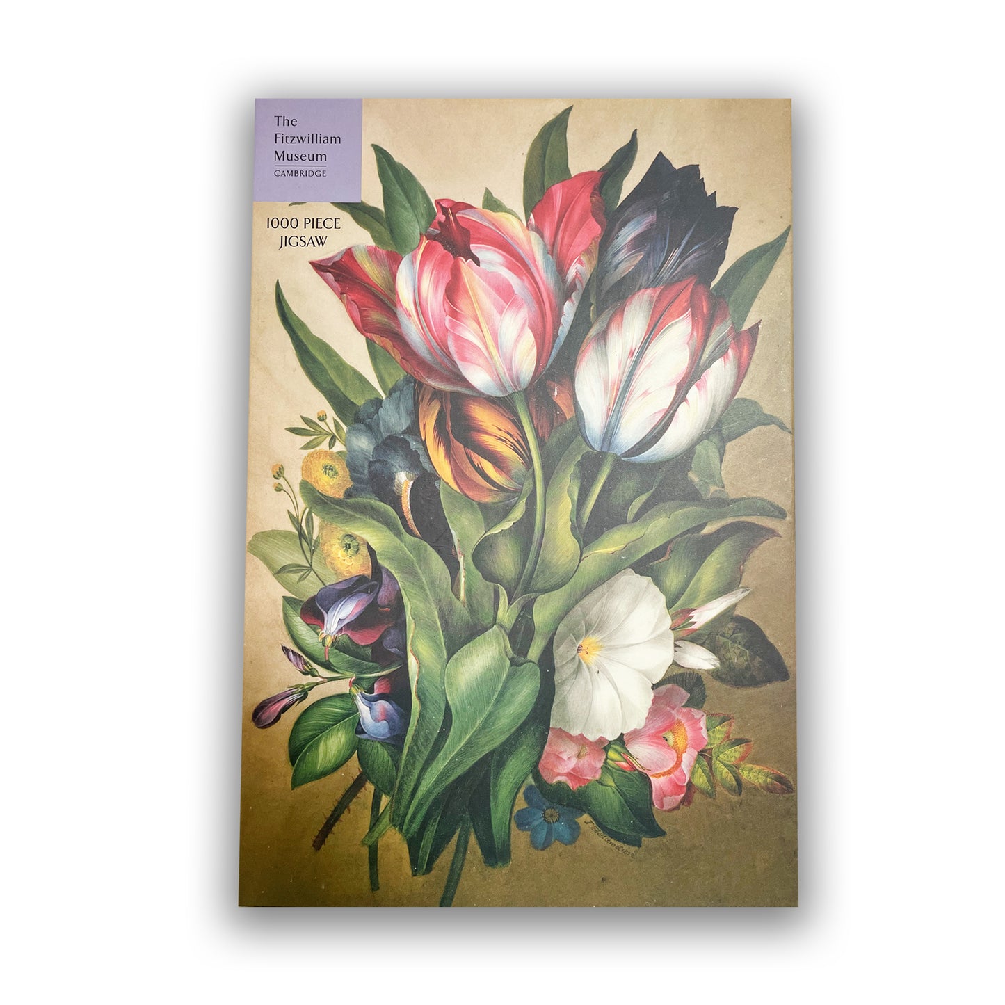 1000 Piece jigsaw tulips box.