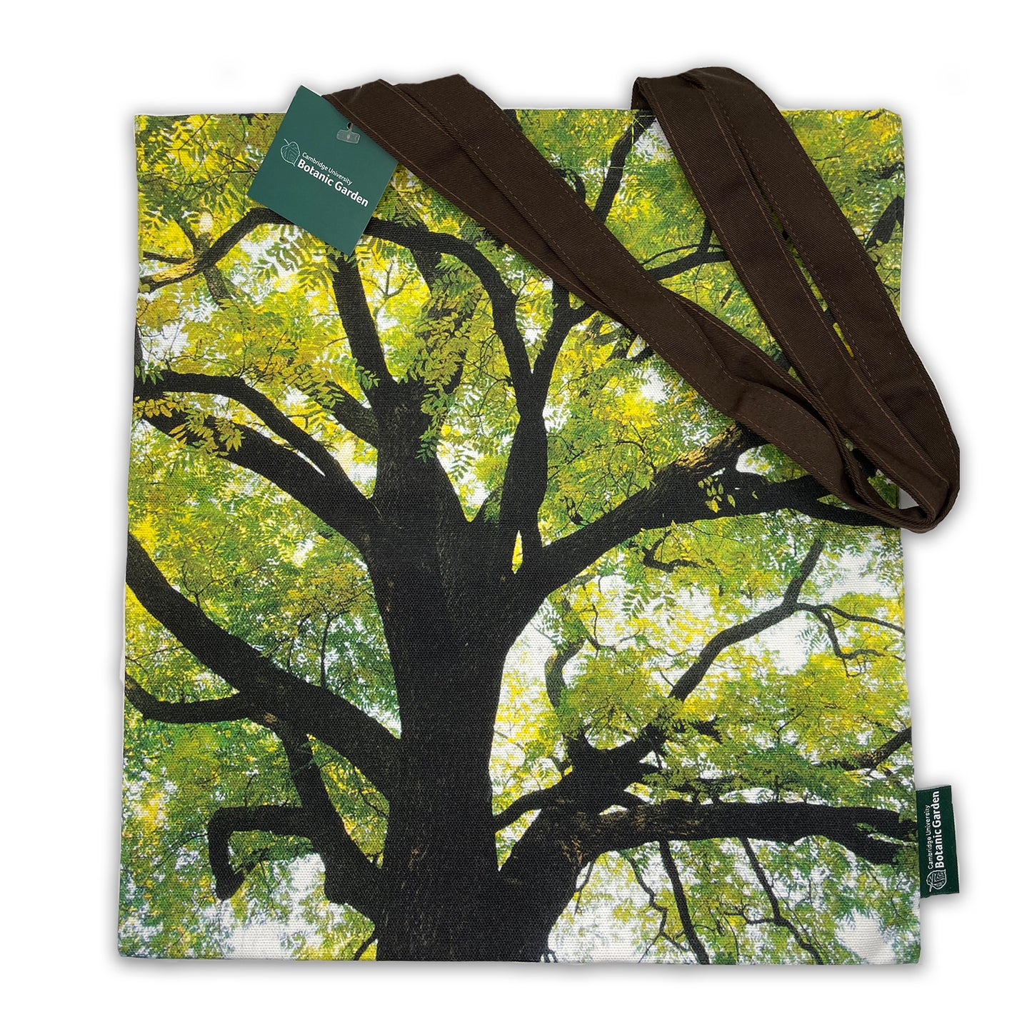 Walnut Tree - Tote bag