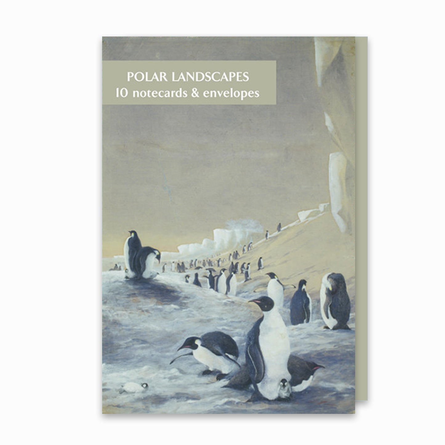 Polar Landscapes - Notecard pack