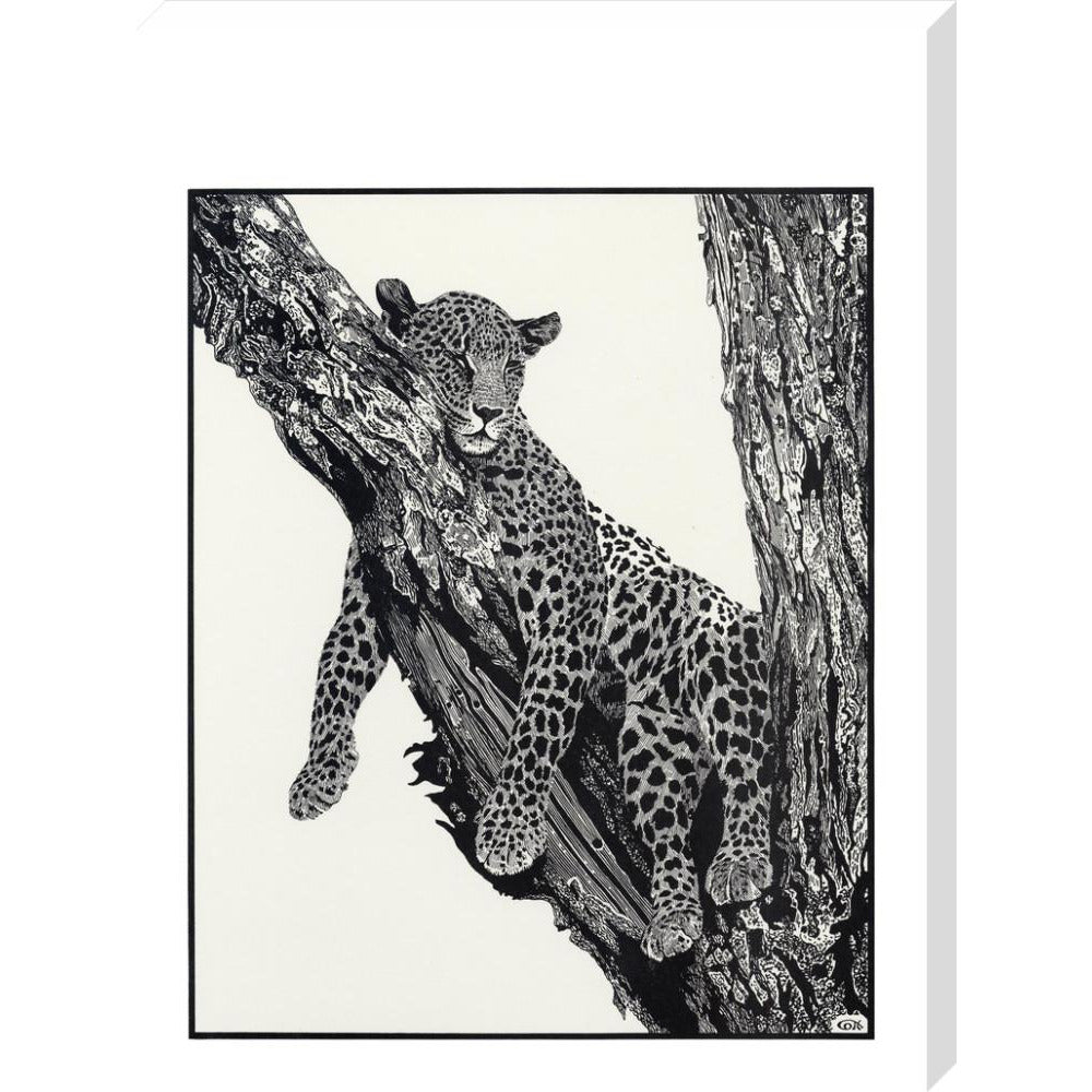 Sleeping Leopard - art print