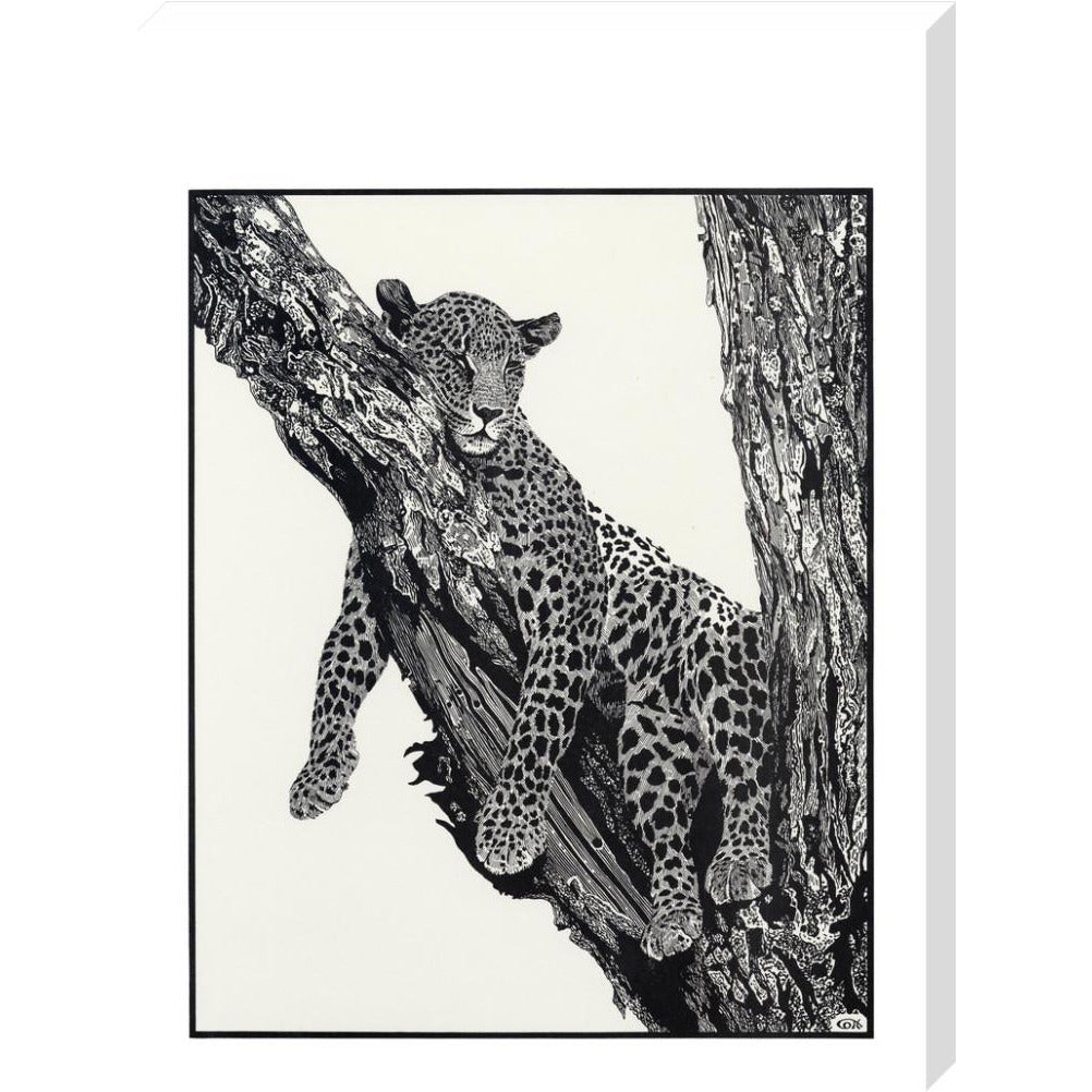 Sleeping Leopard - art print