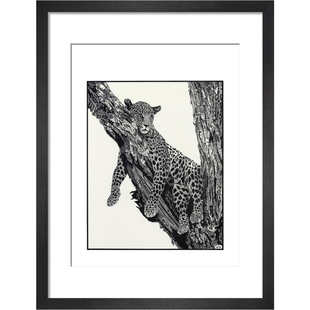 Sleeping Leopard - art print