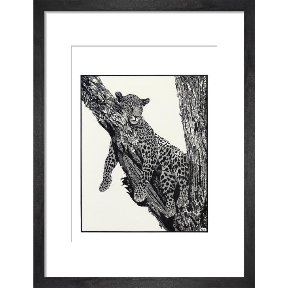 Sleeping Leopard - art print