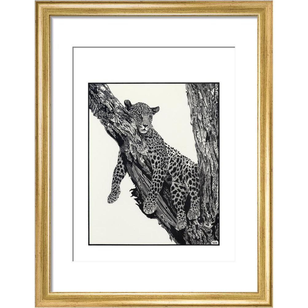 Sleeping Leopard - art print