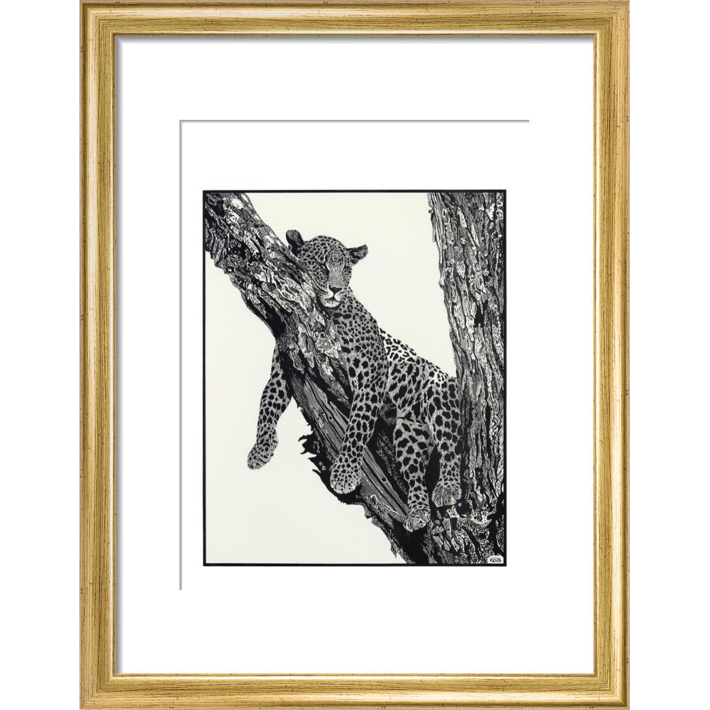 Sleeping Leopard - art print