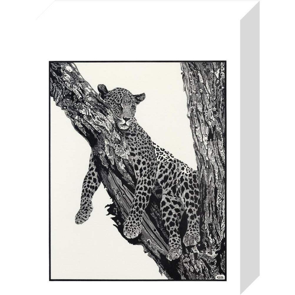 Sleeping Leopard - art print