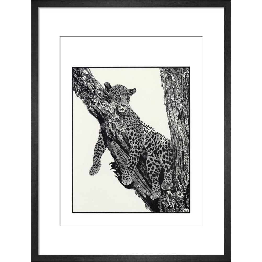 Sleeping Leopard - art print