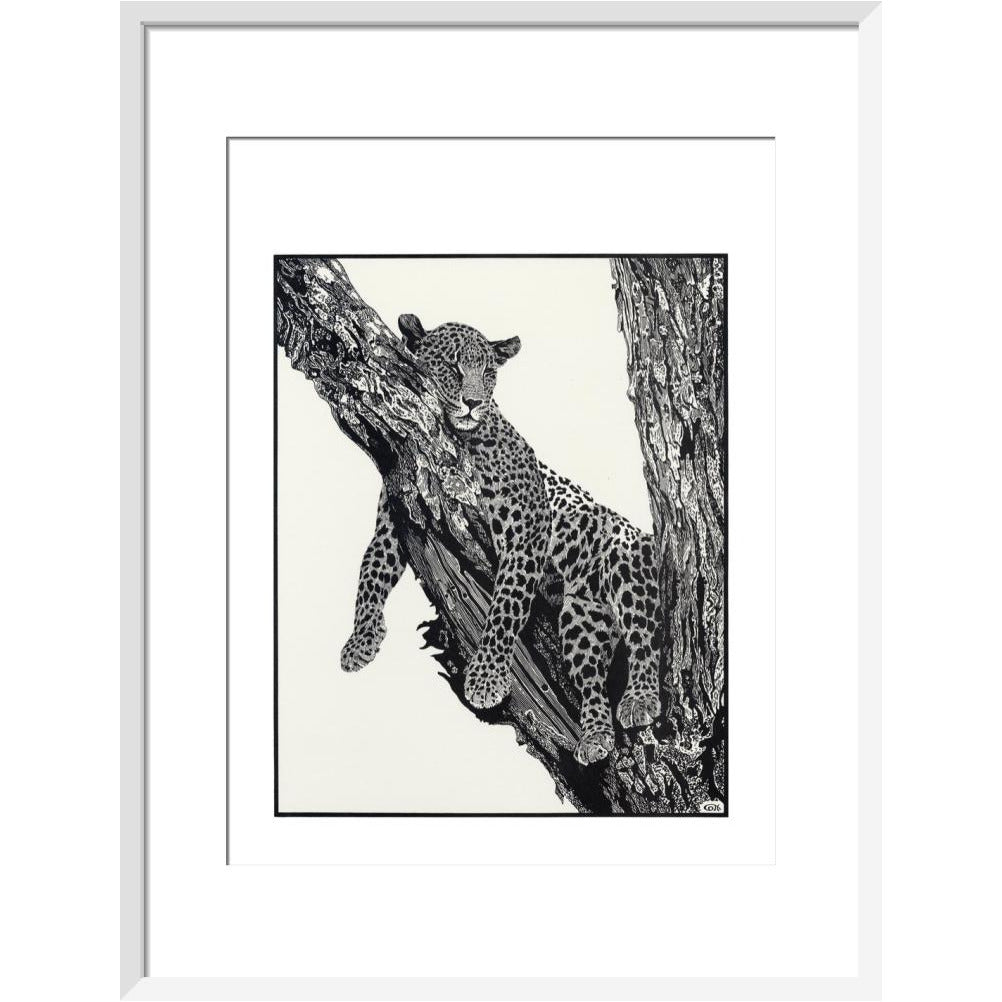 Sleeping Leopard - art print
