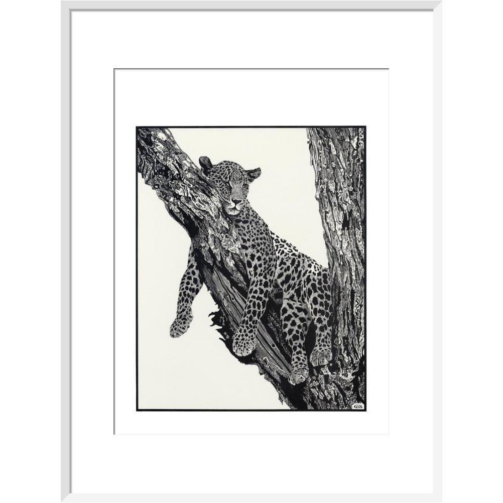 Sleeping Leopard - art print