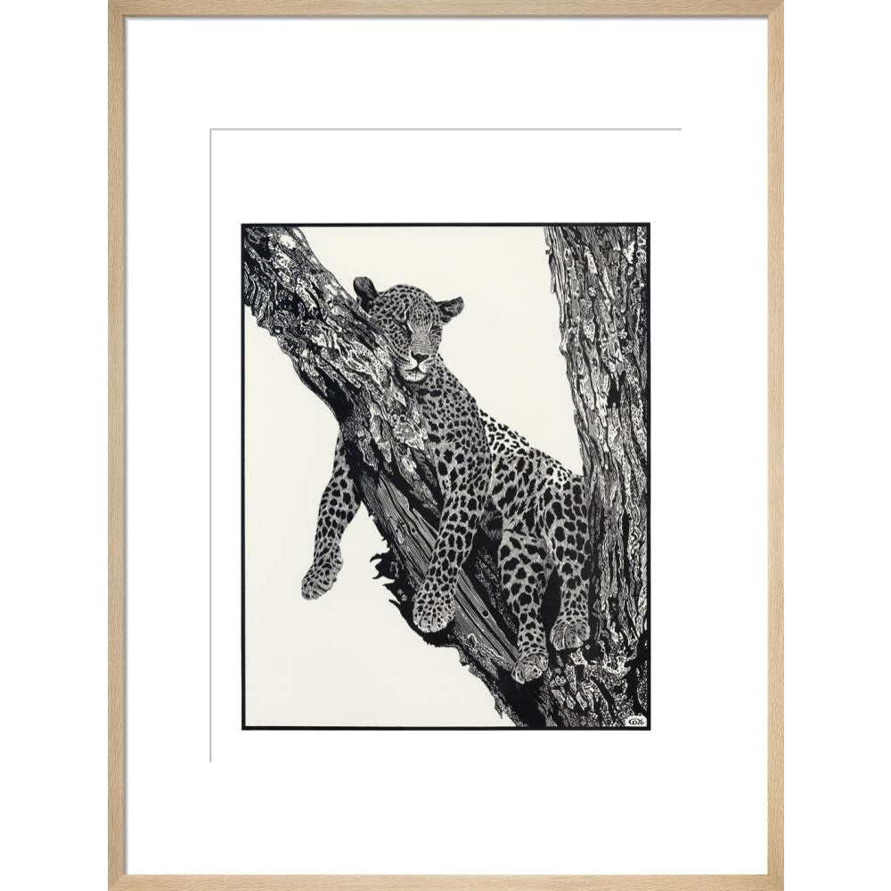 Sleeping Leopard - art print