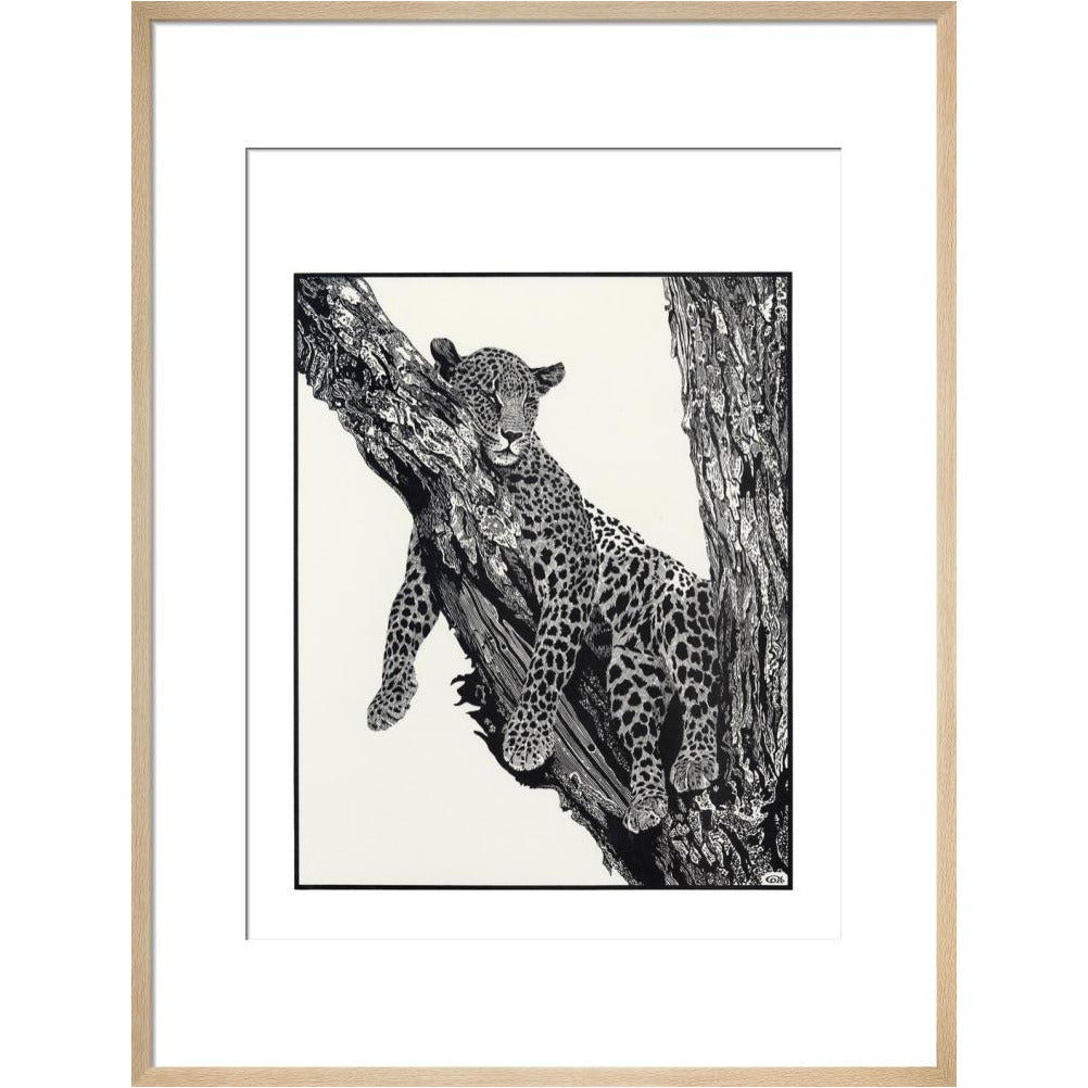 Sleeping Leopard - art print