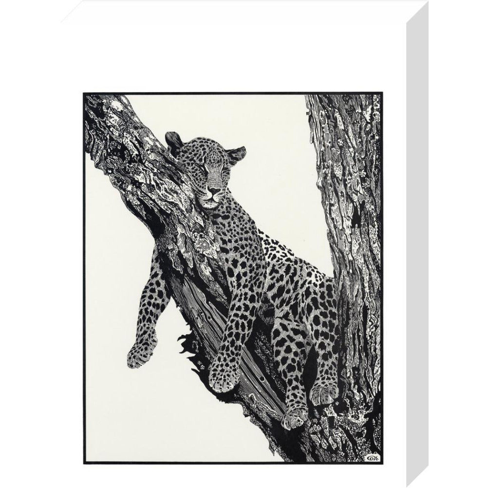 Sleeping Leopard - art print