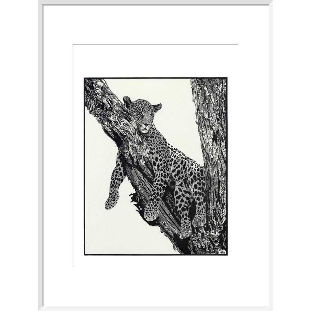 Sleeping Leopard - art print