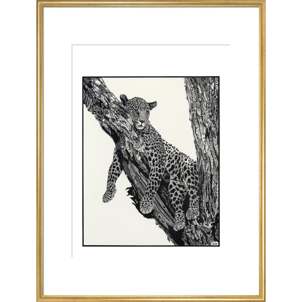 Sleeping Leopard - art print