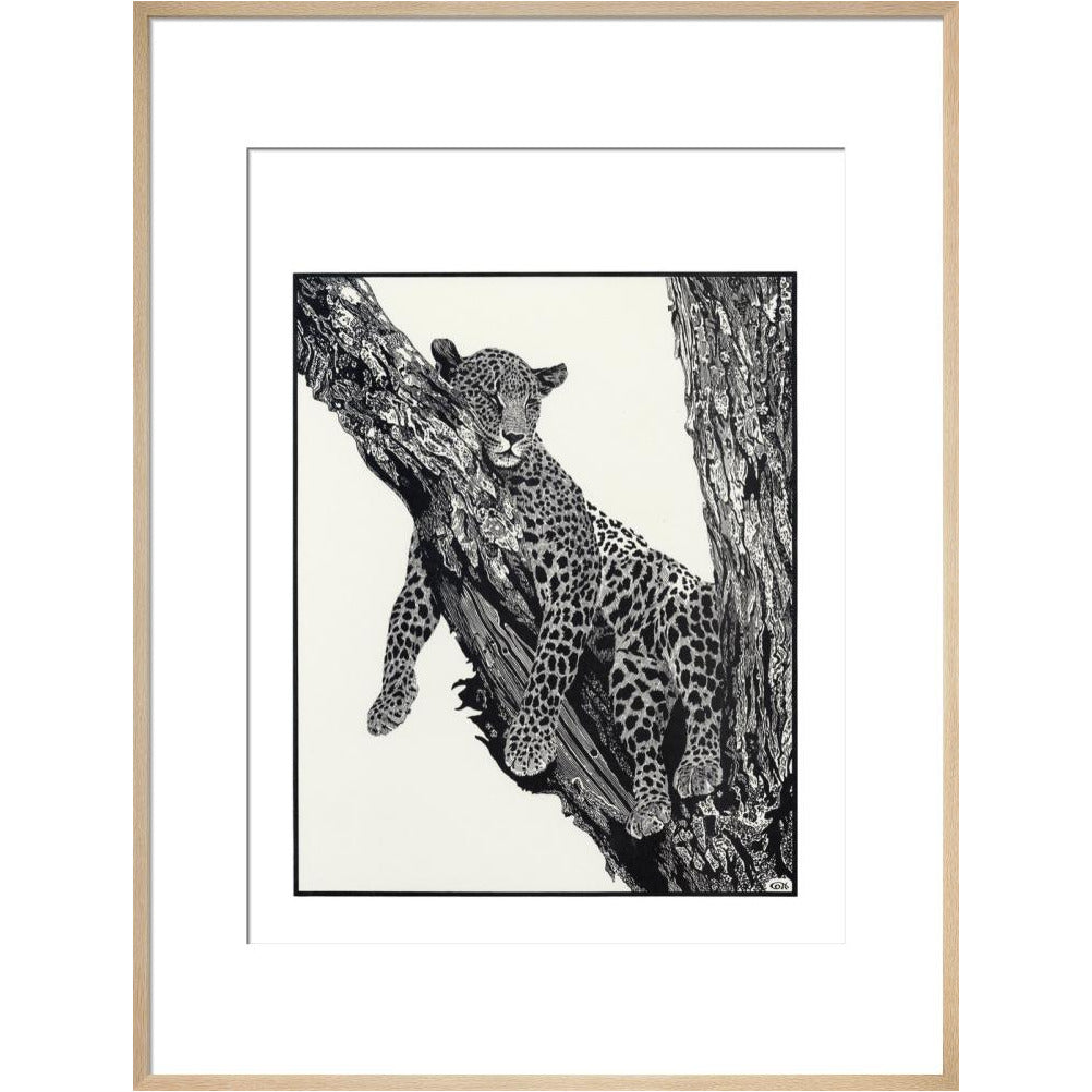Sleeping Leopard - art print