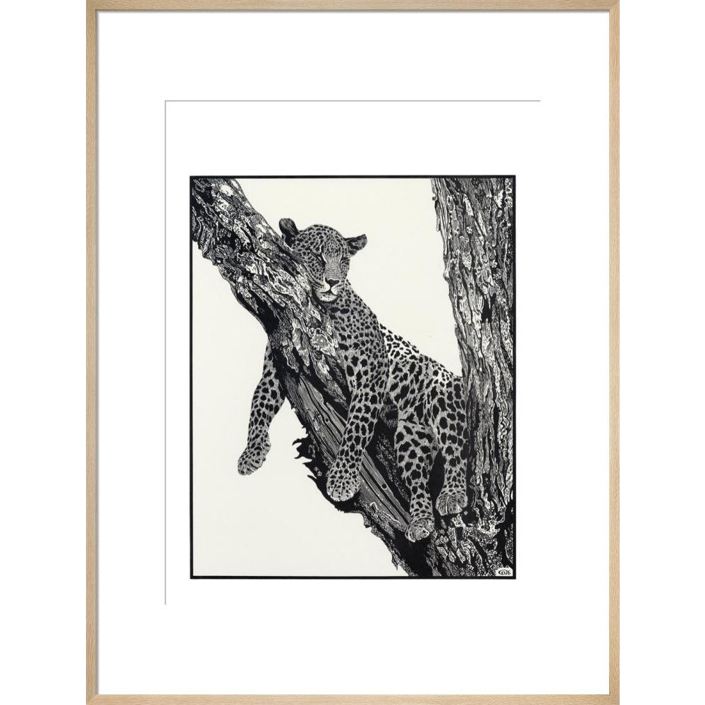 Sleeping Leopard - art print