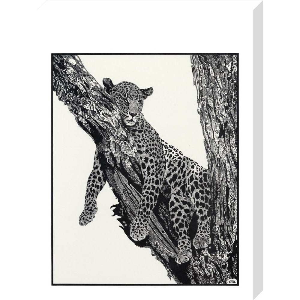 Sleeping Leopard - art print