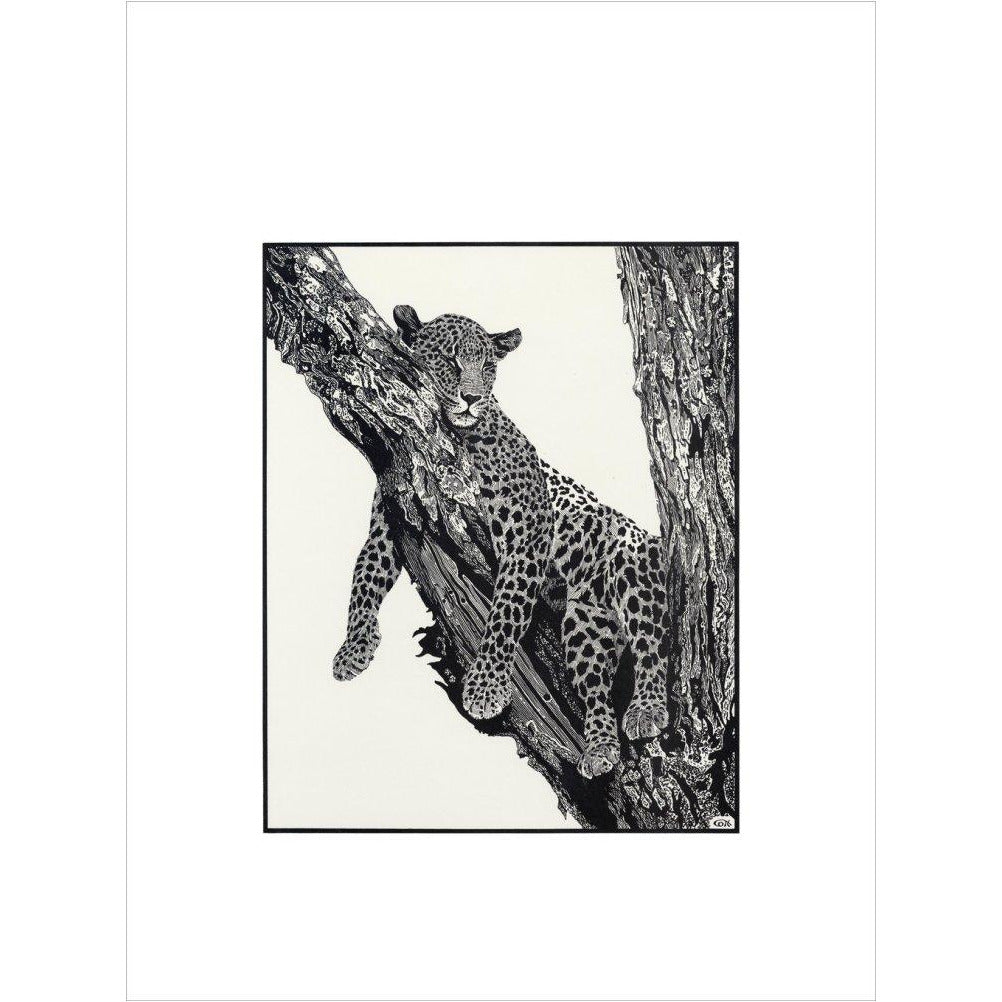 Sleeping Leopard - art print