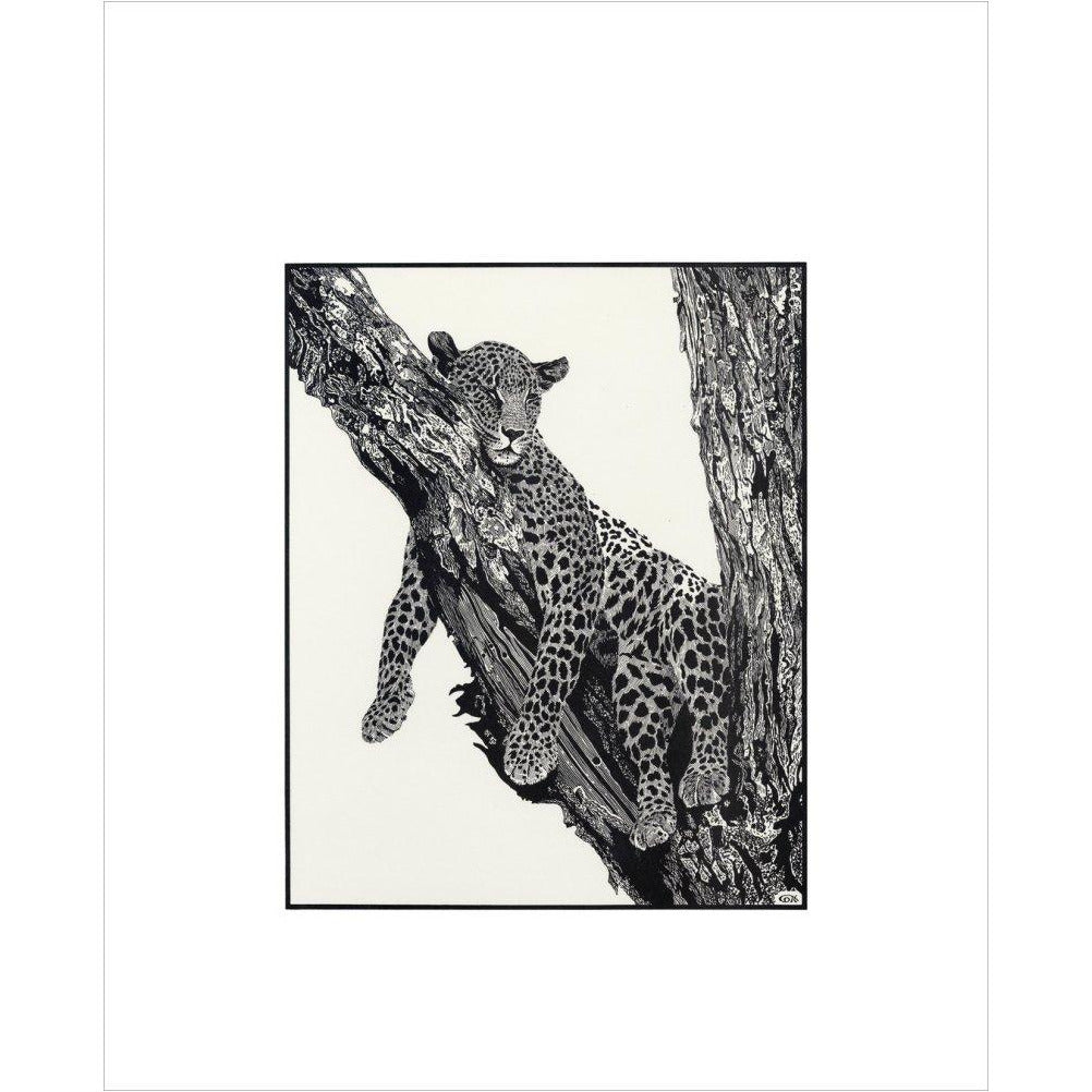 Sleeping Leopard - art print