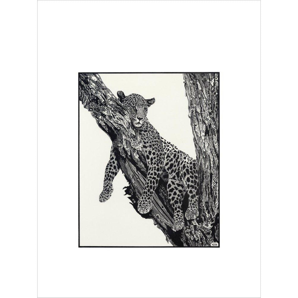 Sleeping Leopard - art print