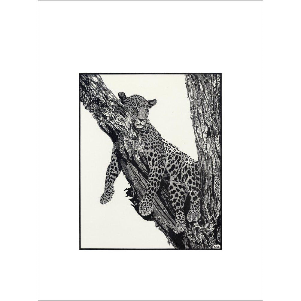 Sleeping Leopard - art print