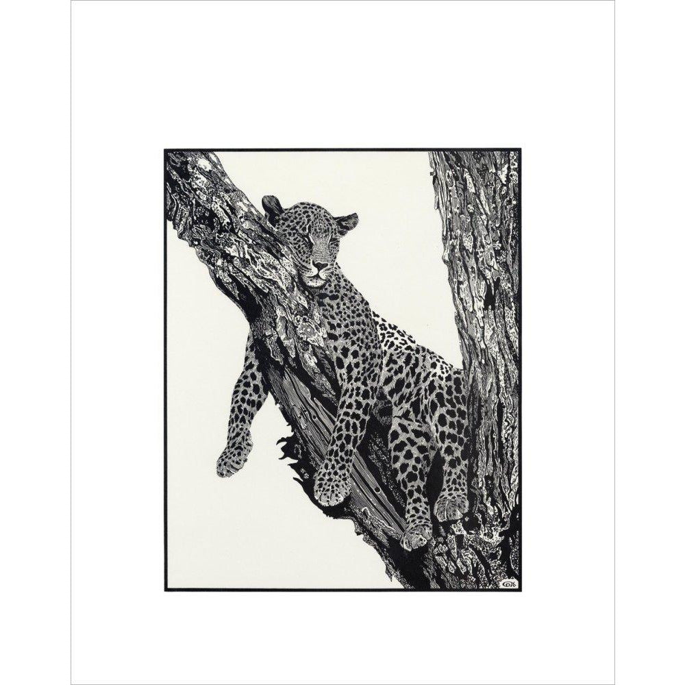 Sleeping Leopard - art print