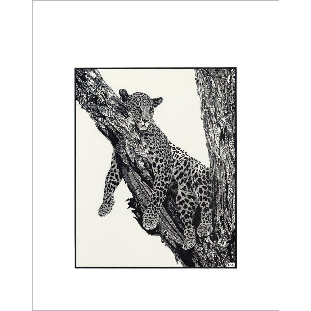 Sleeping Leopard - art print