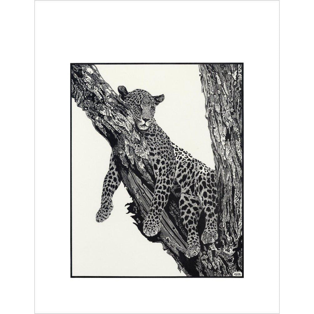 Sleeping Leopard - art print