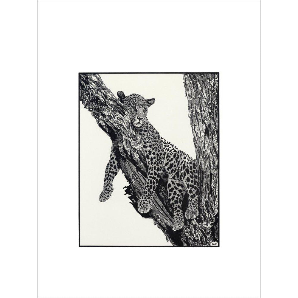 Sleeping Leopard - art print