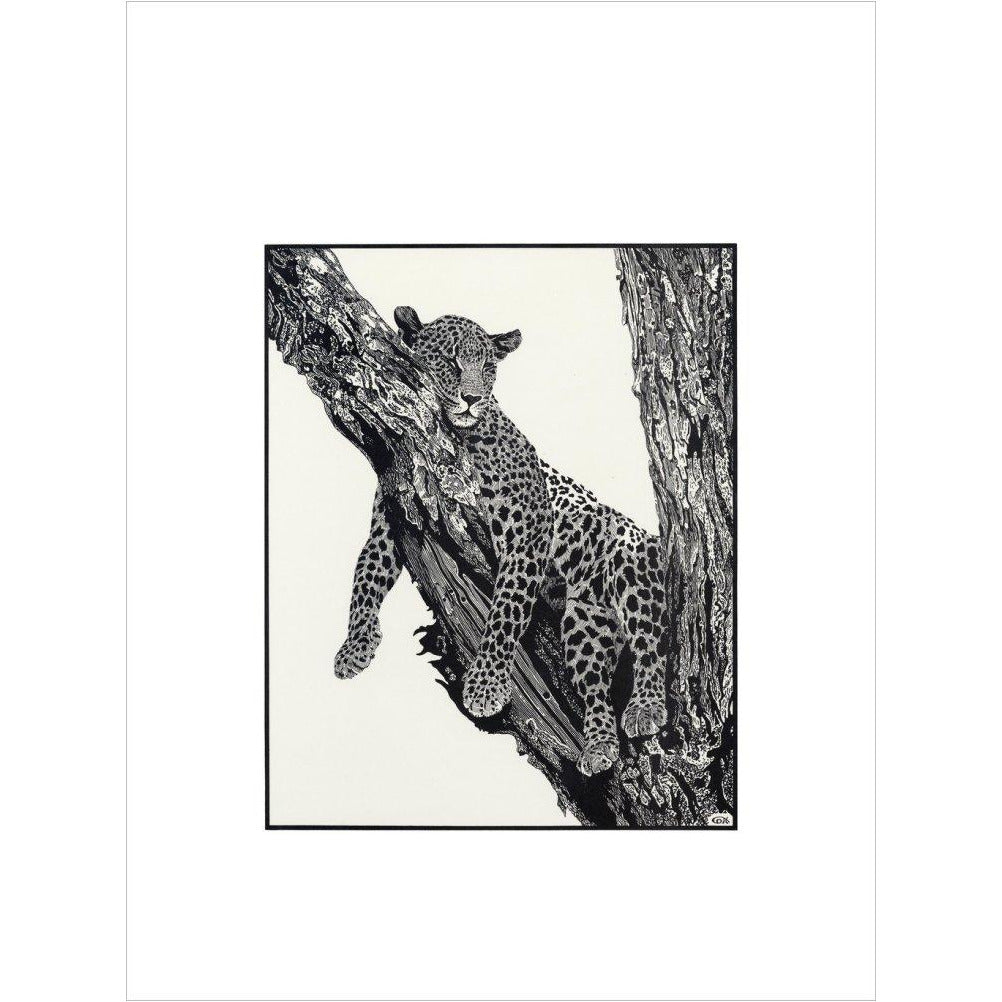 Sleeping Leopard - art print