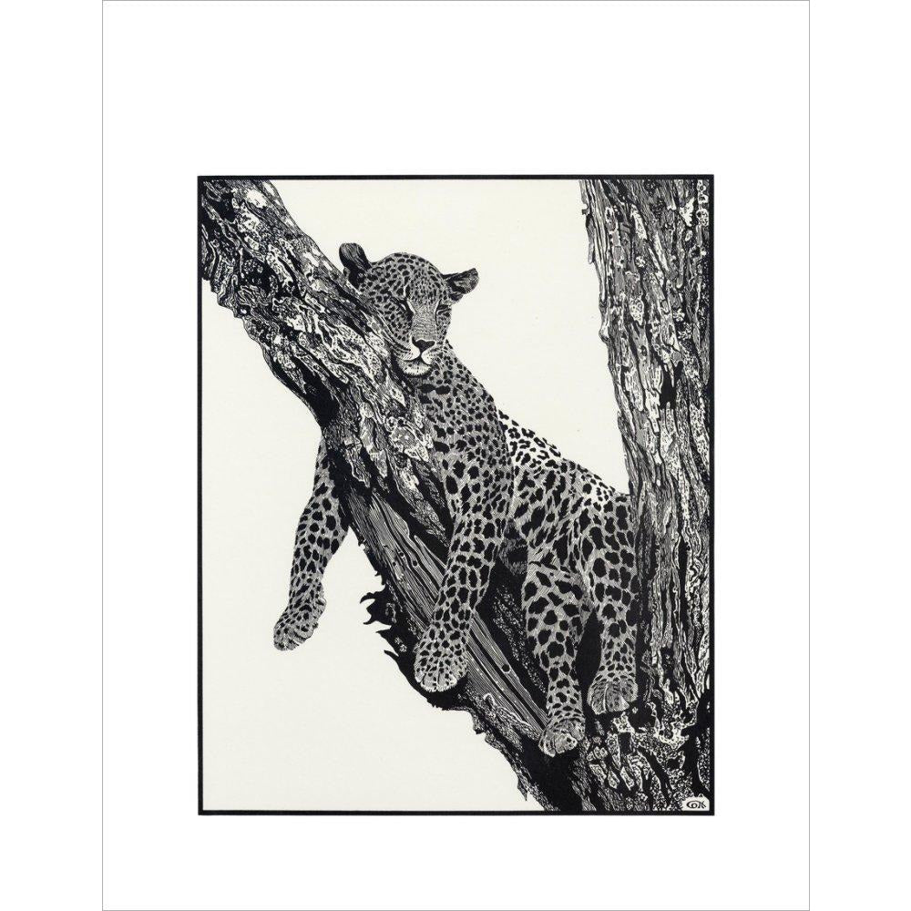 Sleeping Leopard - art print