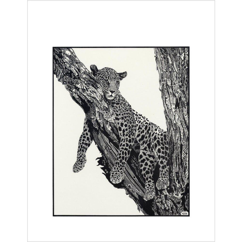 Sleeping Leopard - art print