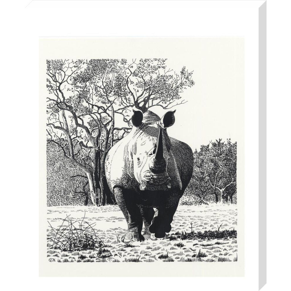 White Rhinoceros Advancing - art print