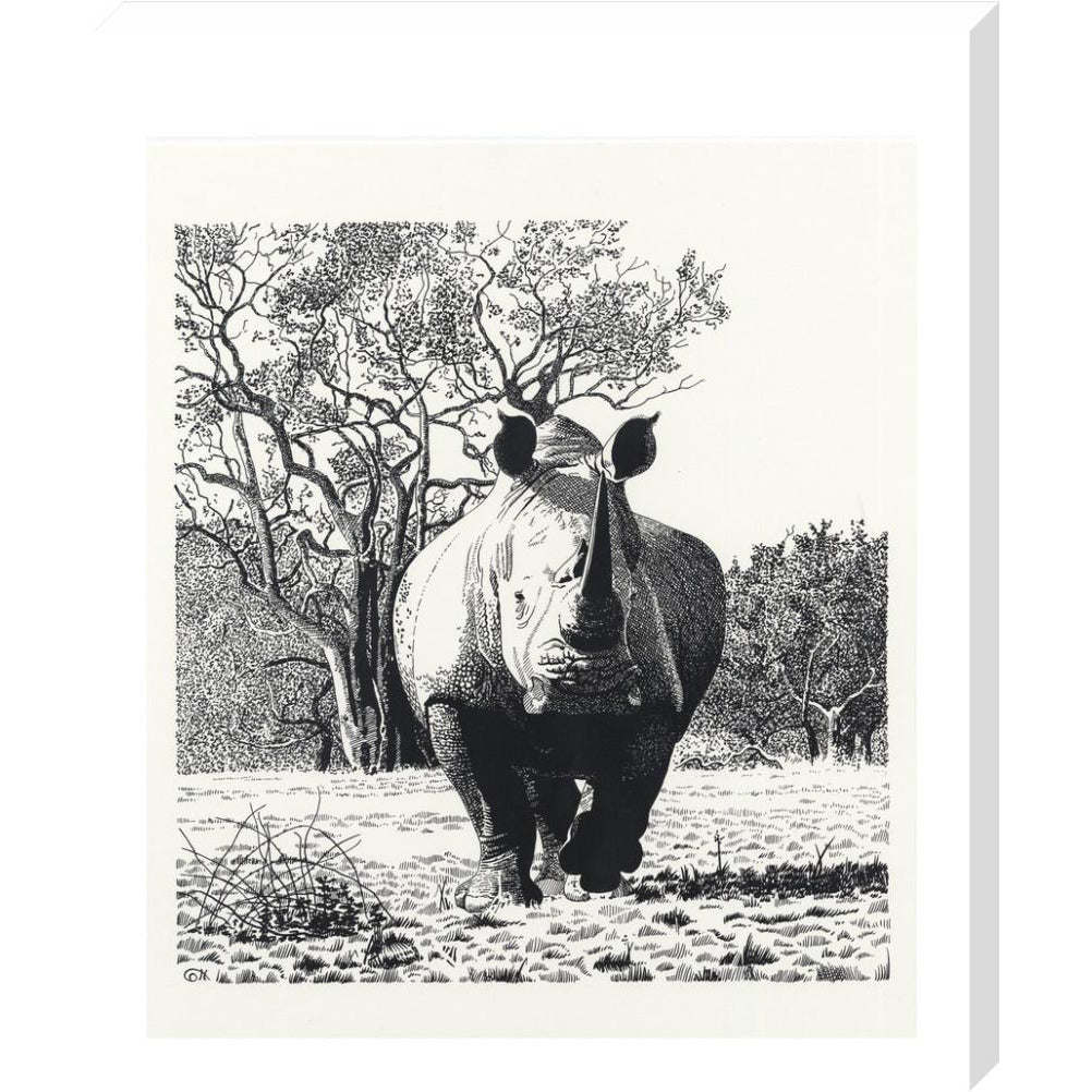 White Rhinoceros Advancing - art print