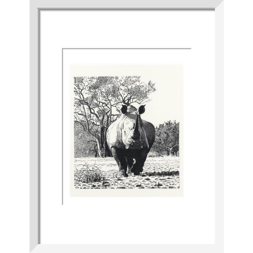White Rhinoceros Advancing - art print