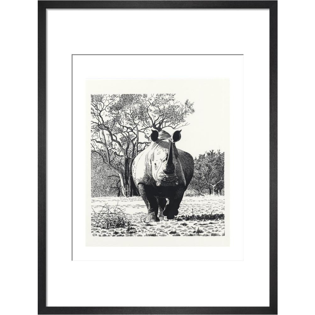 White Rhinoceros Advancing - art print