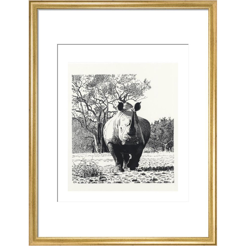 White Rhinoceros Advancing - art print