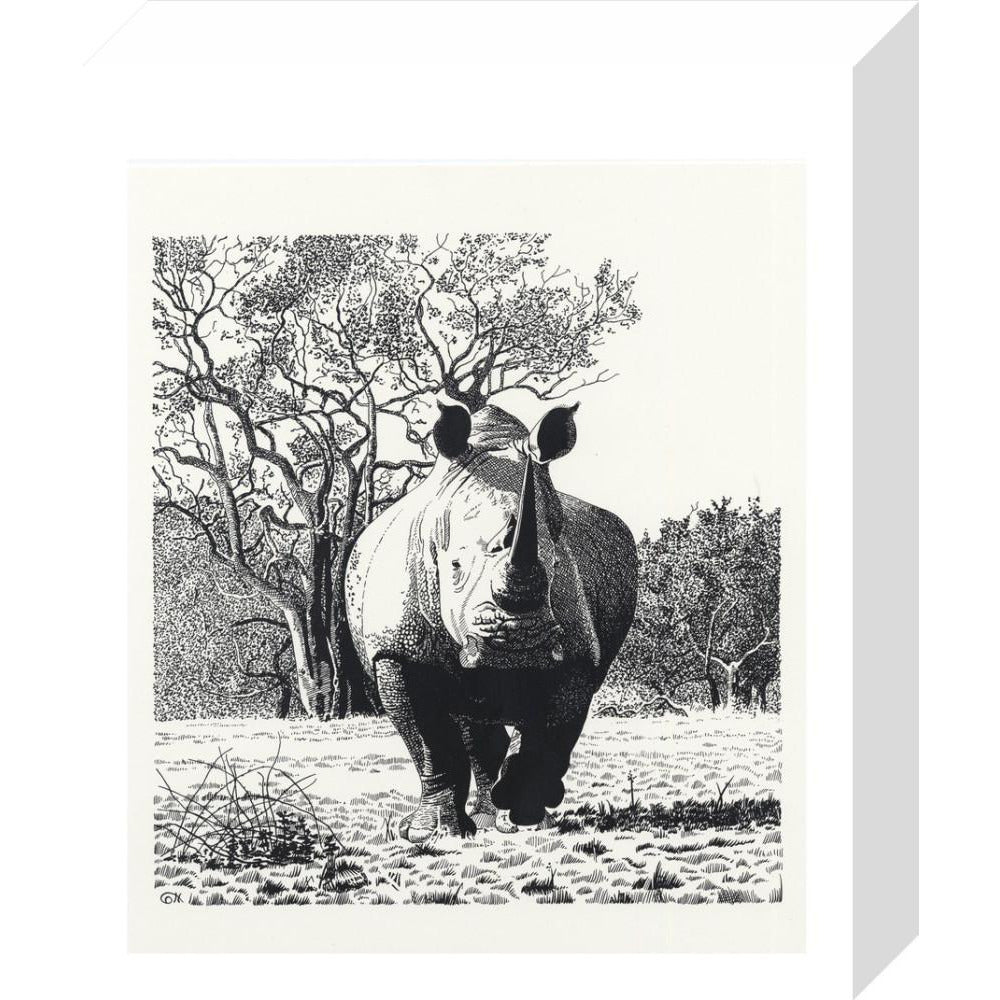 White Rhinoceros Advancing - art print
