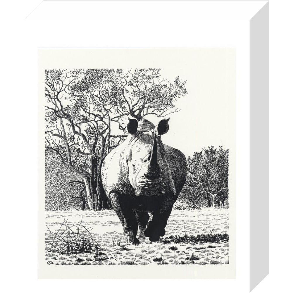 White Rhinoceros Advancing - art print