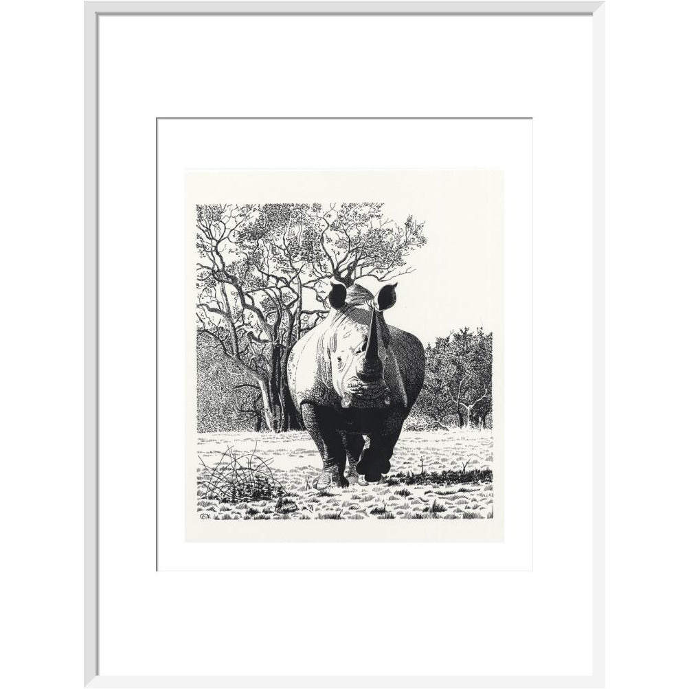 White Rhinoceros Advancing - art print