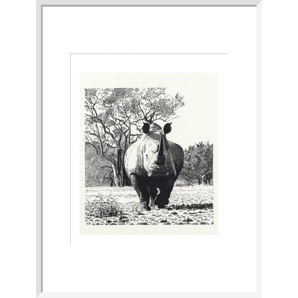 White Rhinoceros Advancing - art print