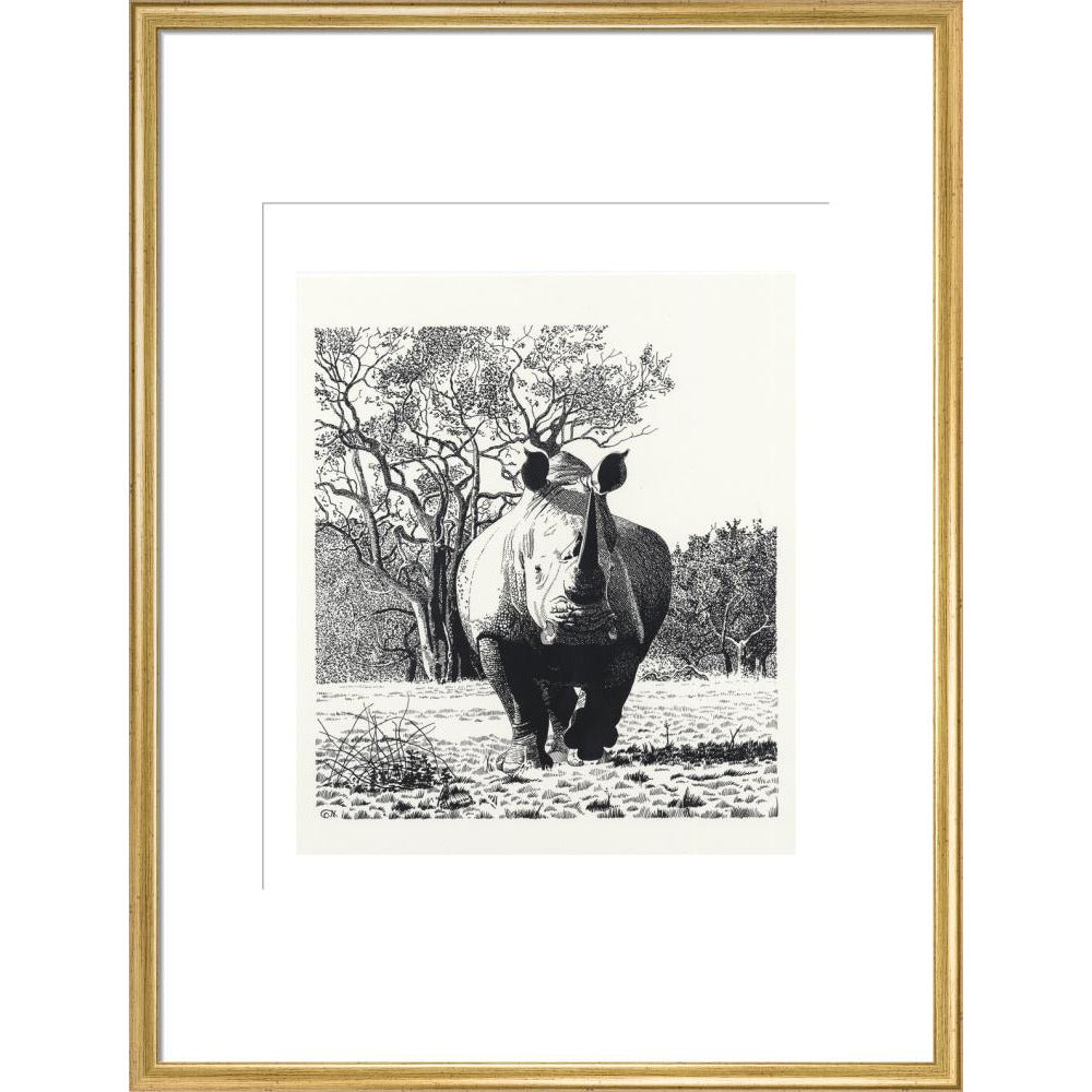 White Rhinoceros Advancing - art print