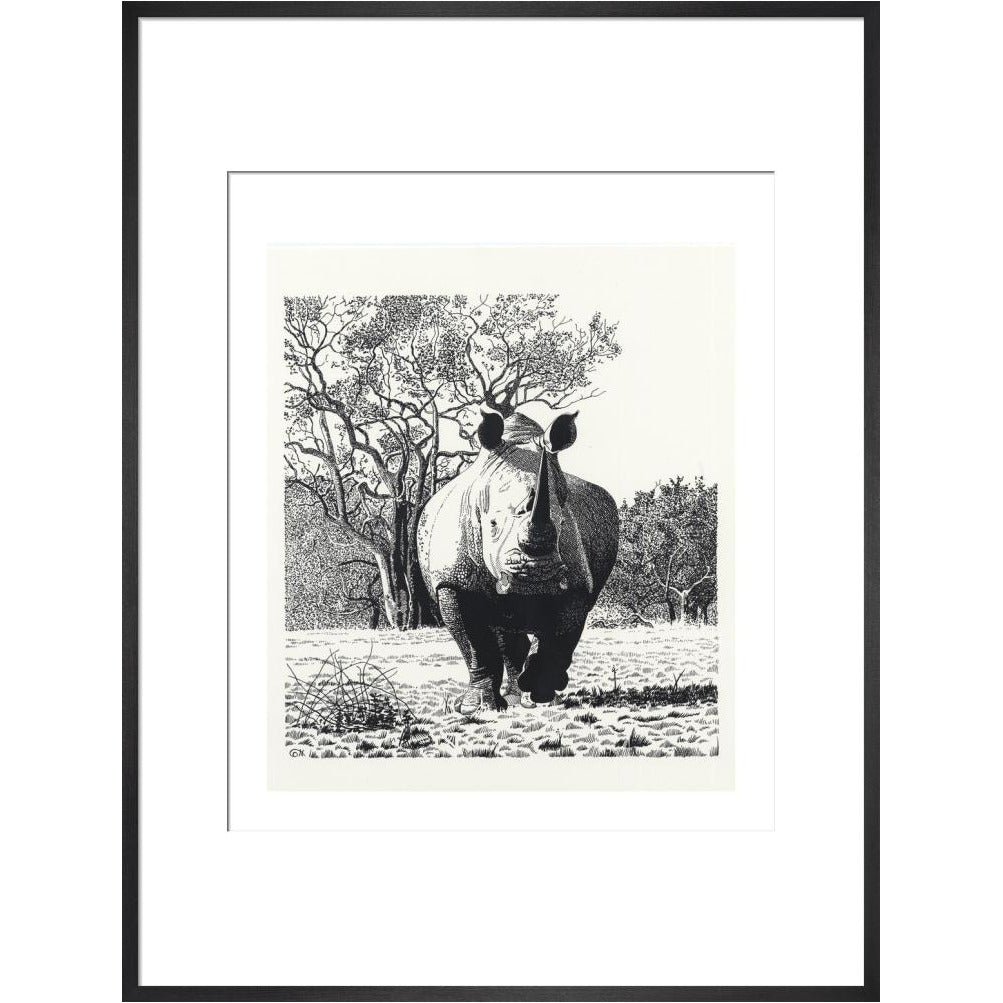 White Rhinoceros Advancing - art print