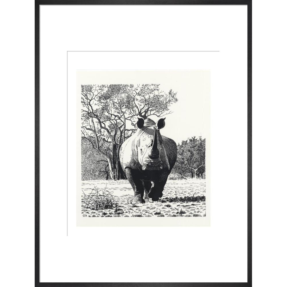 White Rhinoceros Advancing - art print