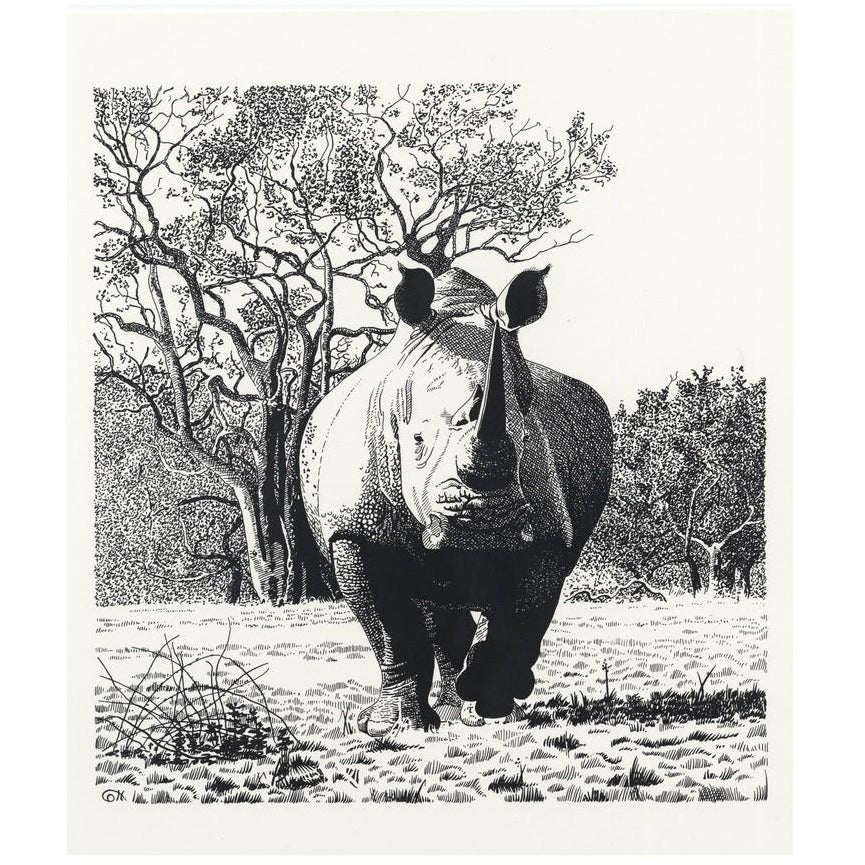 White Rhinoceros Advancing - art print
