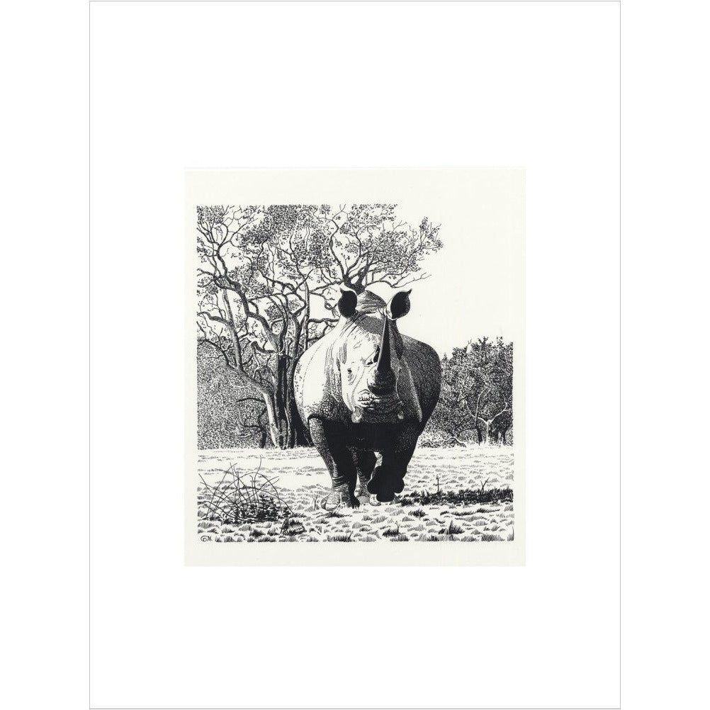White Rhinoceros Advancing - art print
