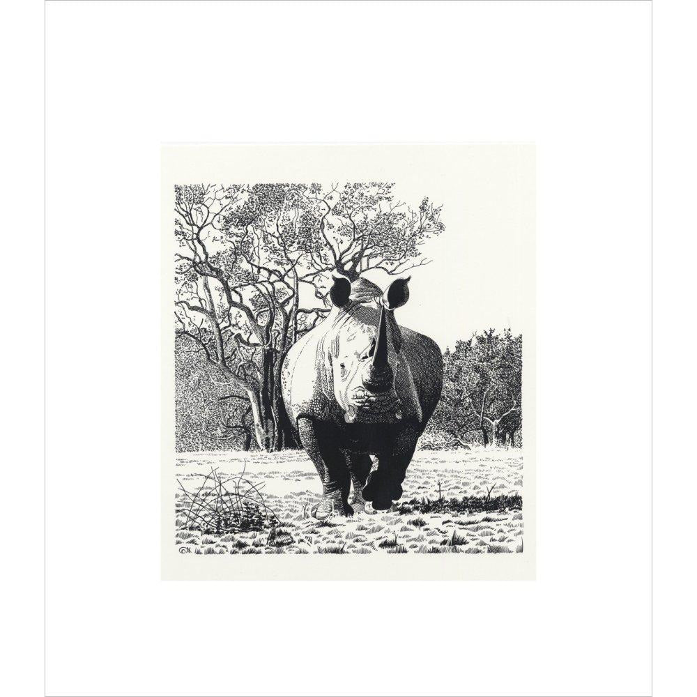 White Rhinoceros Advancing - art print