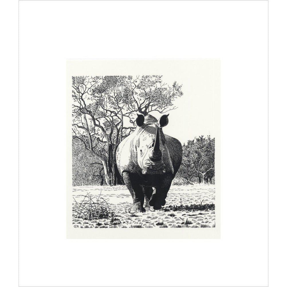 White Rhinoceros Advancing - art print