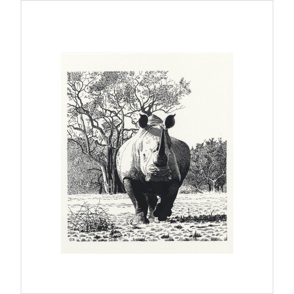 White Rhinoceros Advancing - art print